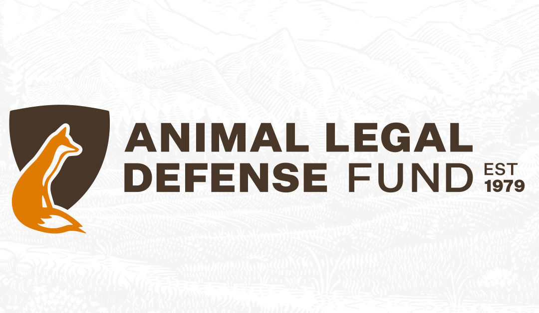 ALDF